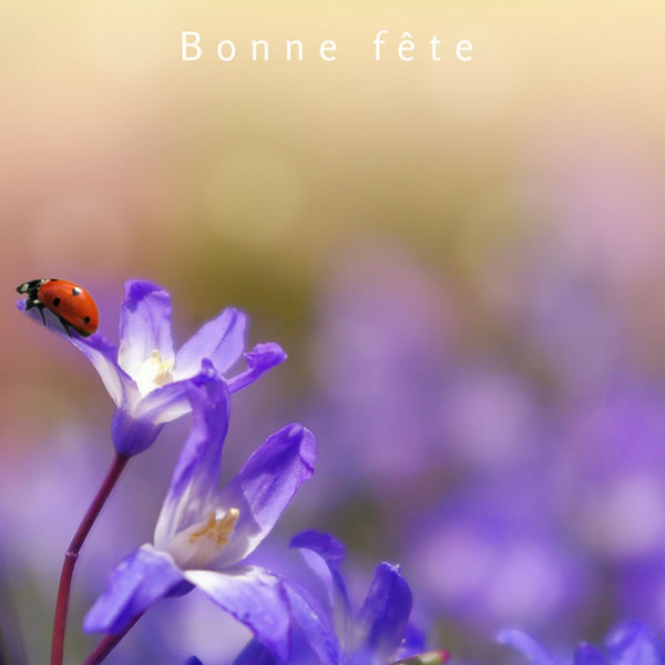 Bonne fête, prénom du Jour, Saint du Jour